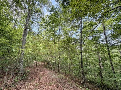 Land, Bryson City, NC