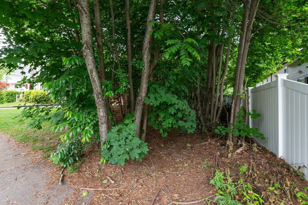 Picture 27