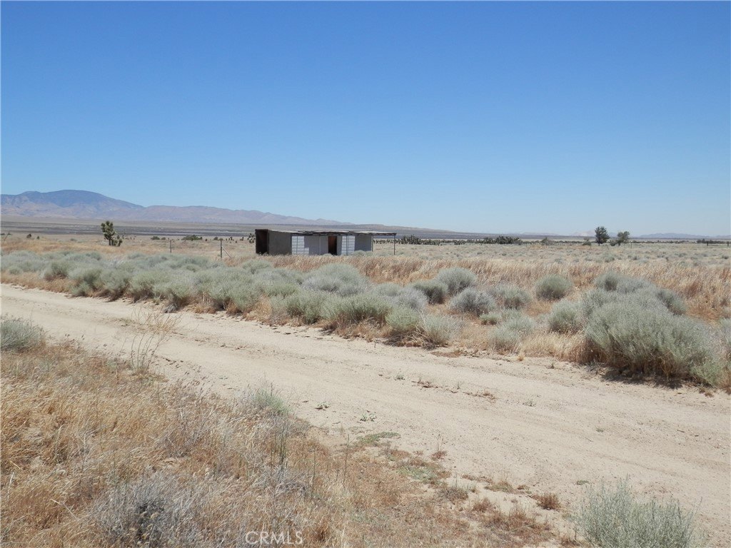 Picture 5