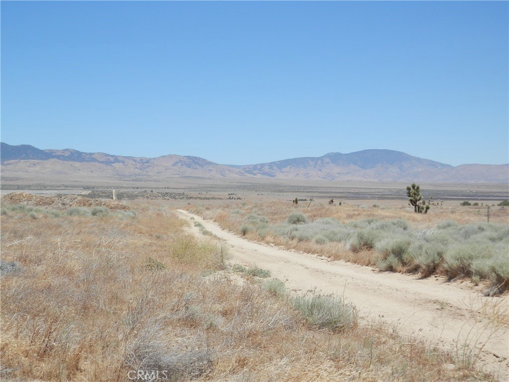 Picture 10
