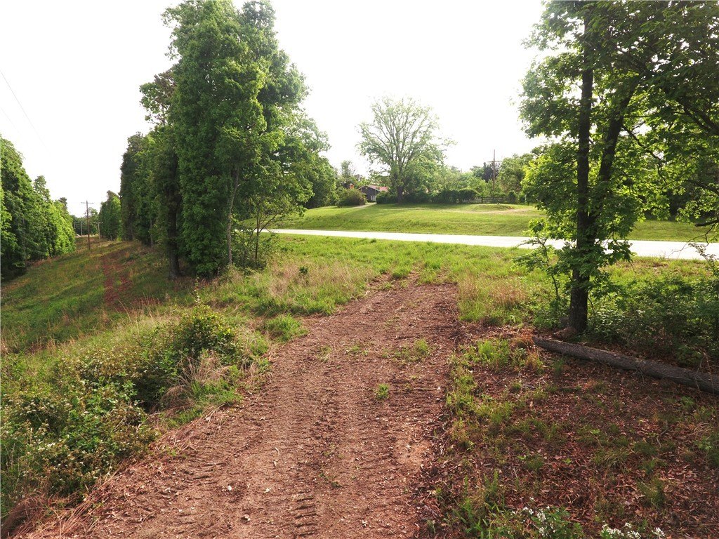 Picture 17