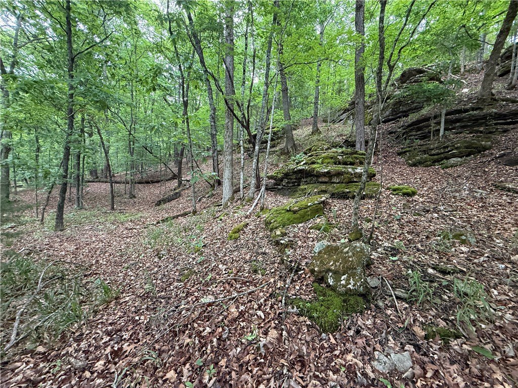 Picture 25