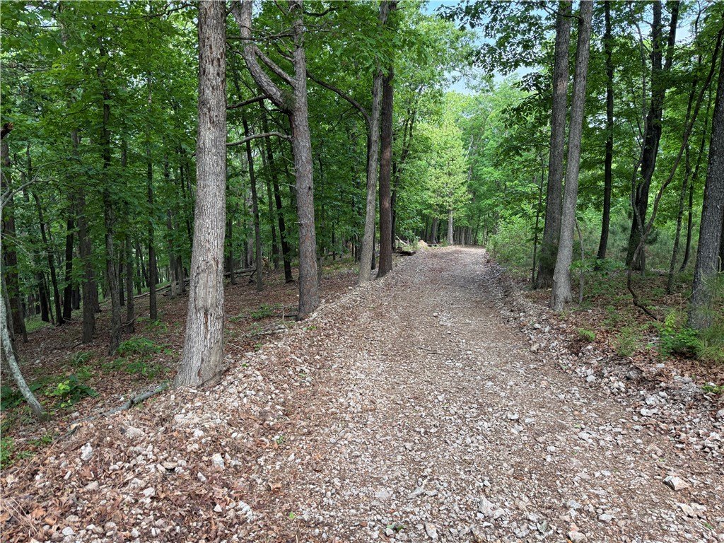 Picture 20