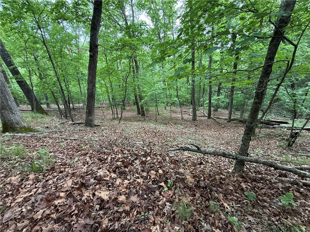 Picture 27