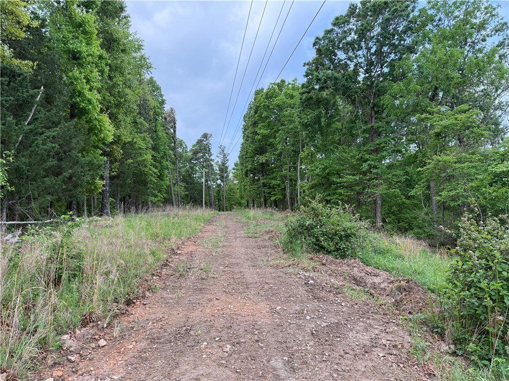 Picture 28