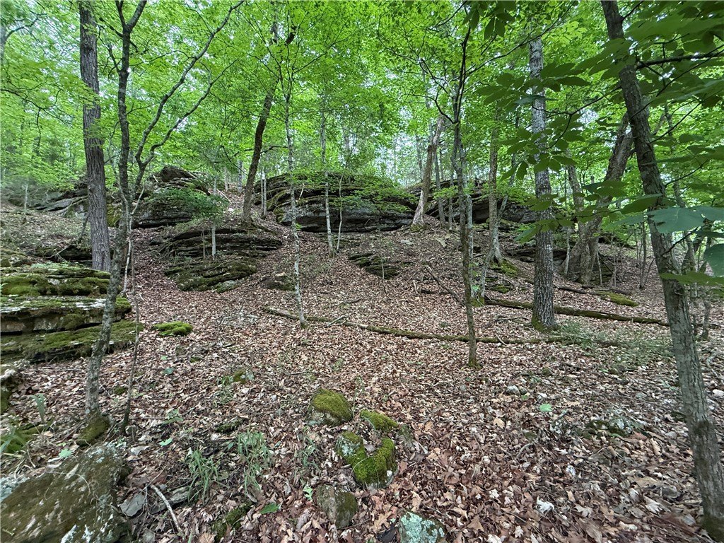 Picture 24