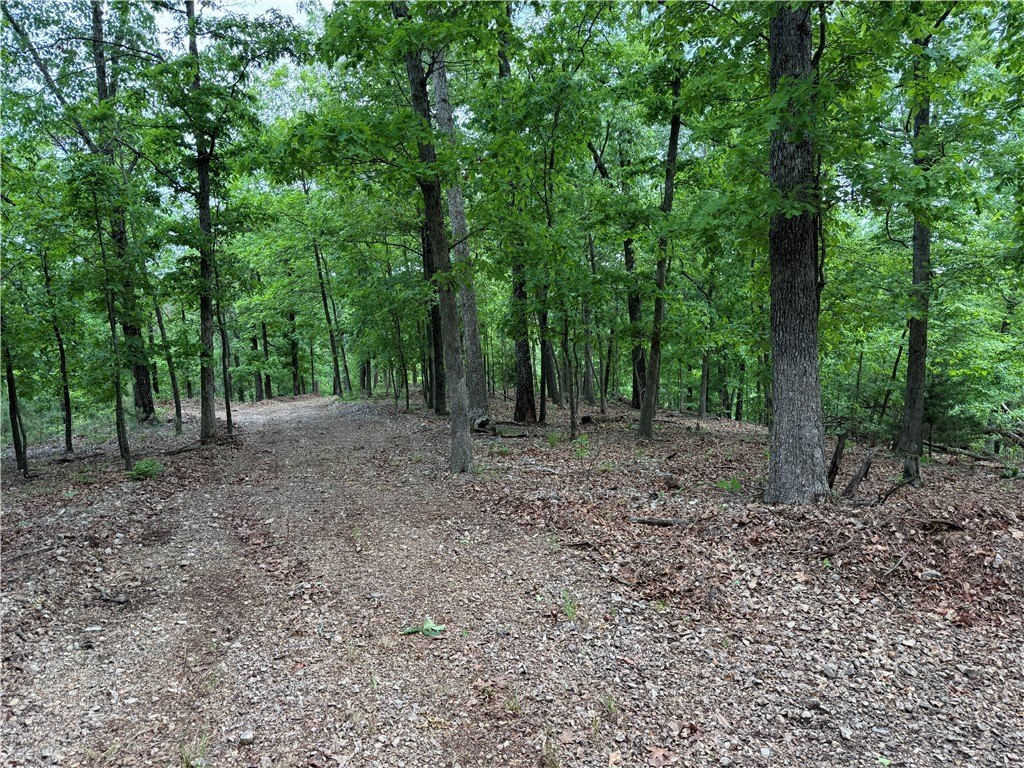 Picture 31