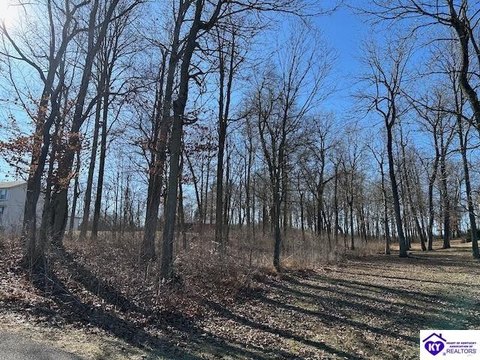 Lots and Land, Ekron, KY
