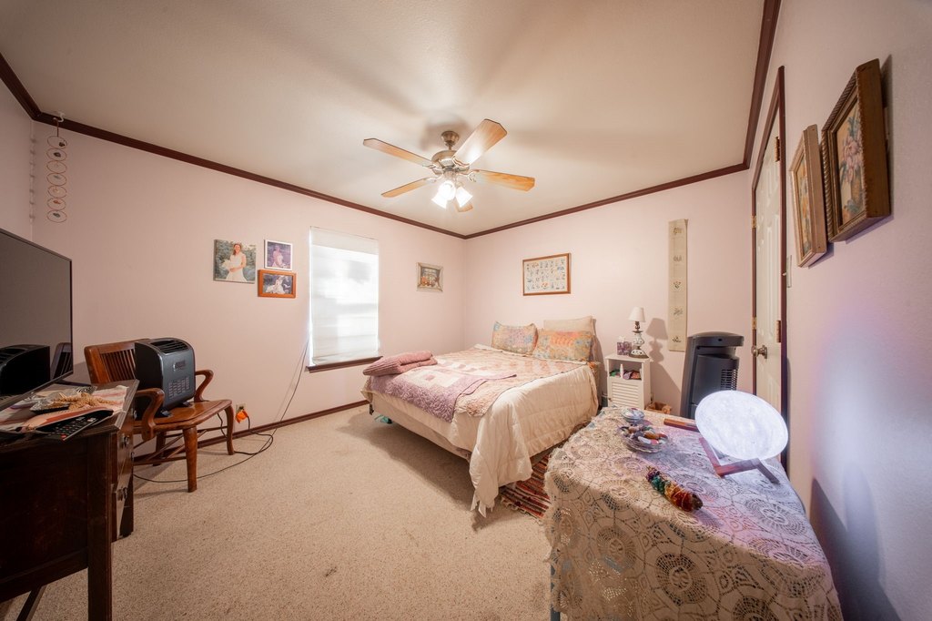 Picture 22