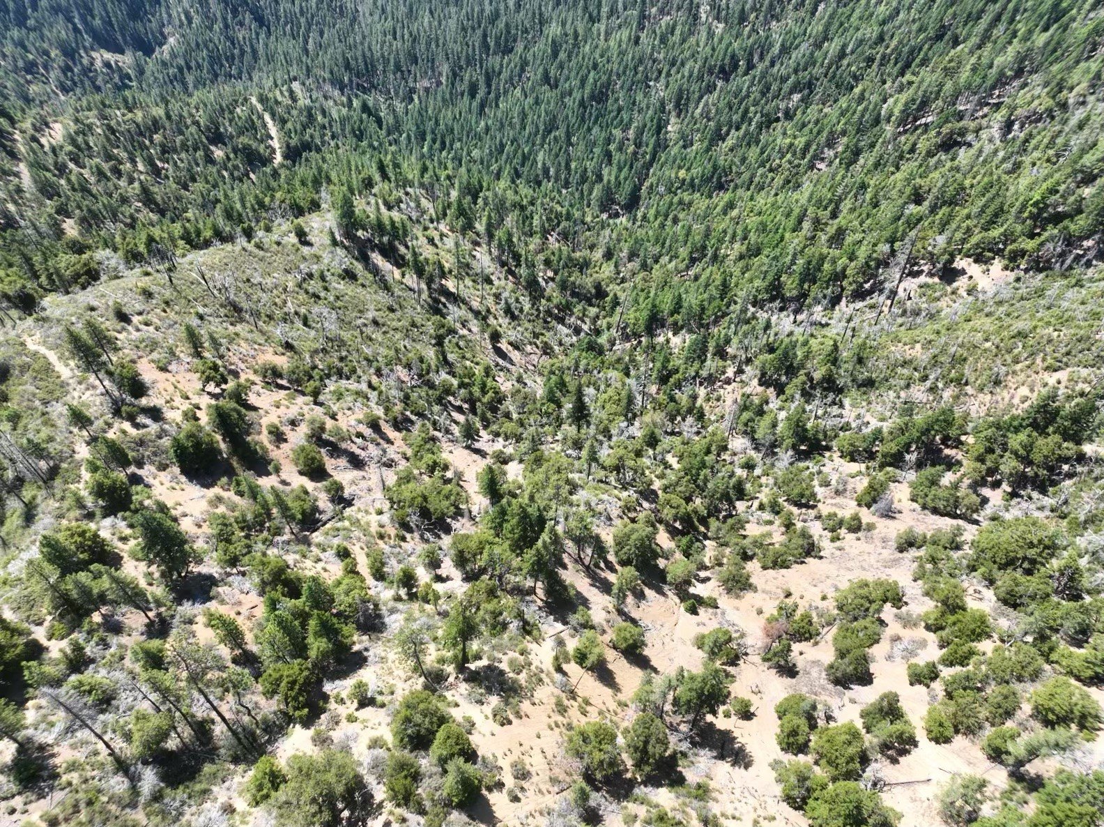 160 Acres in Hyampom, CA