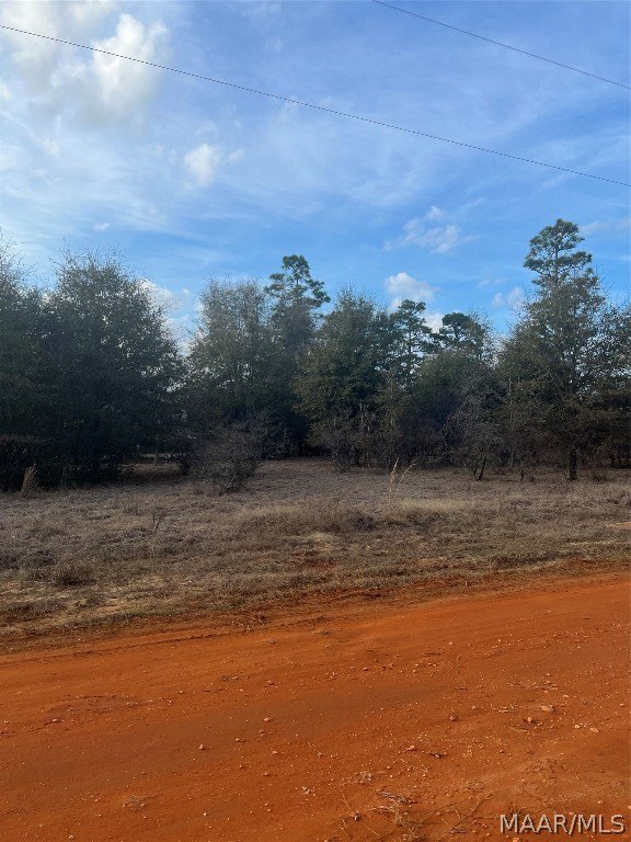Land in Miller's Ferry