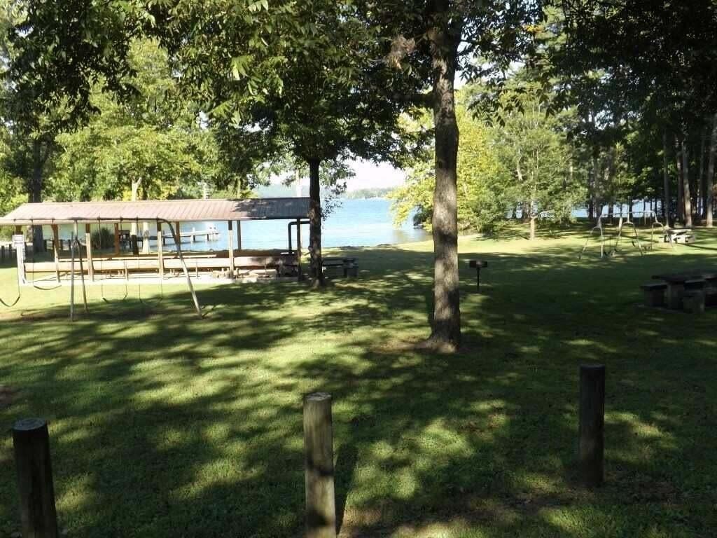 Picture 11