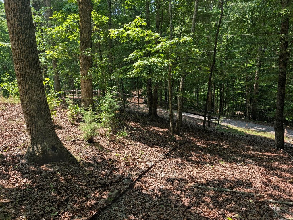 Picture 25