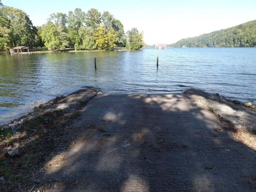 Picture 12