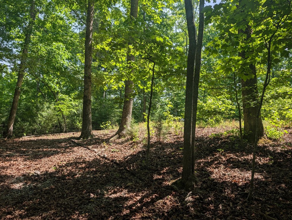 Picture 23