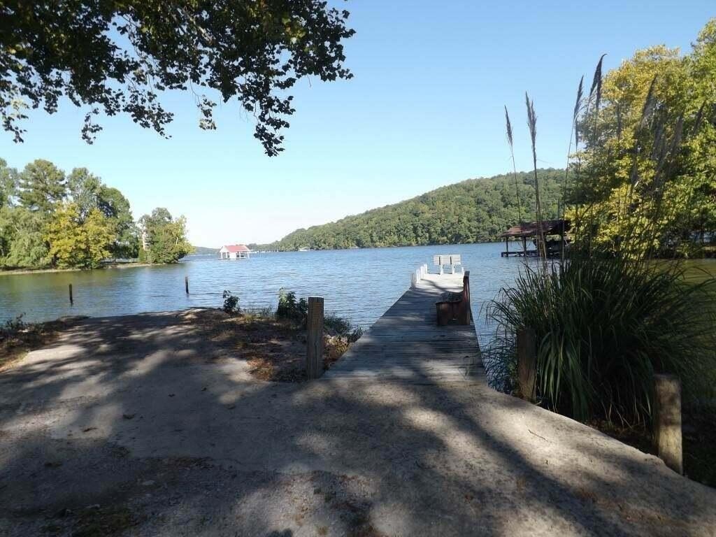 Picture 8