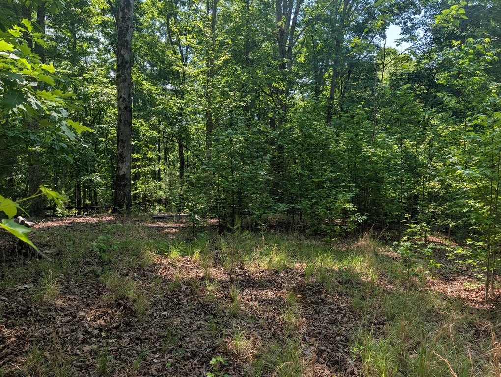 Picture 18