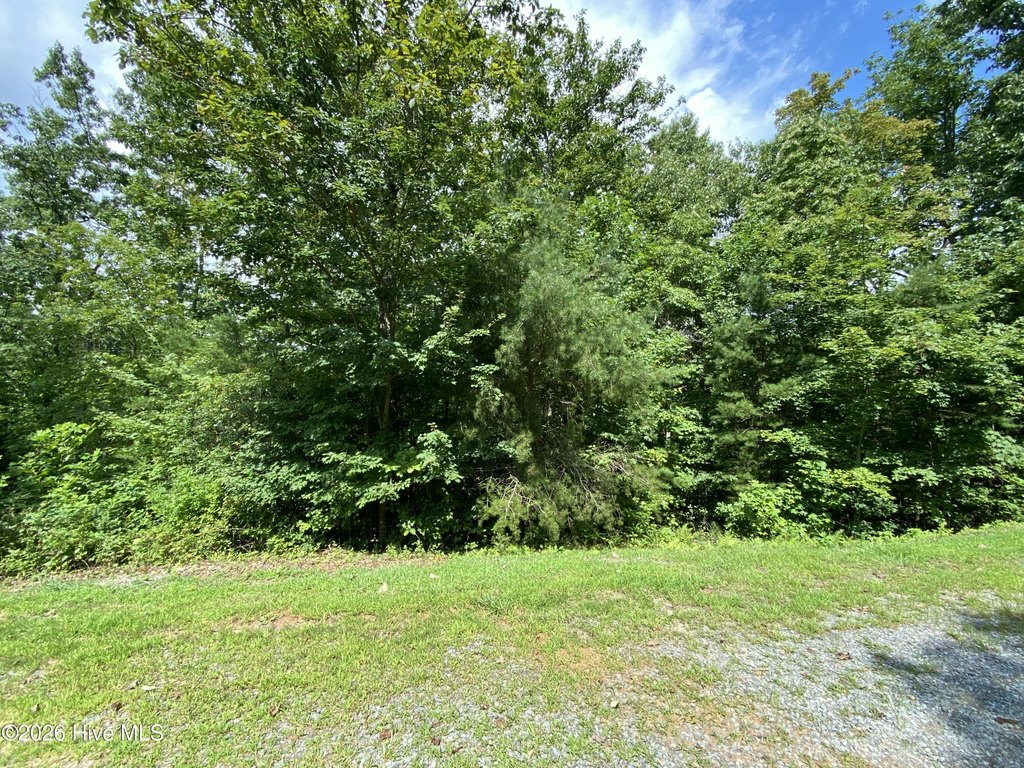 Picture 18