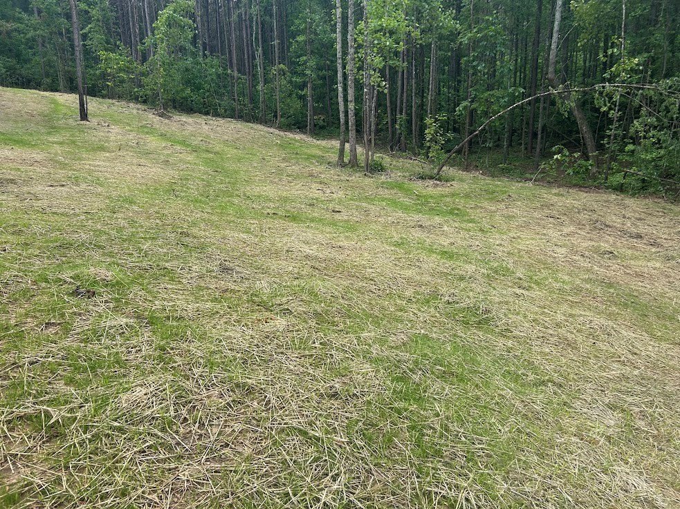 Picture 28