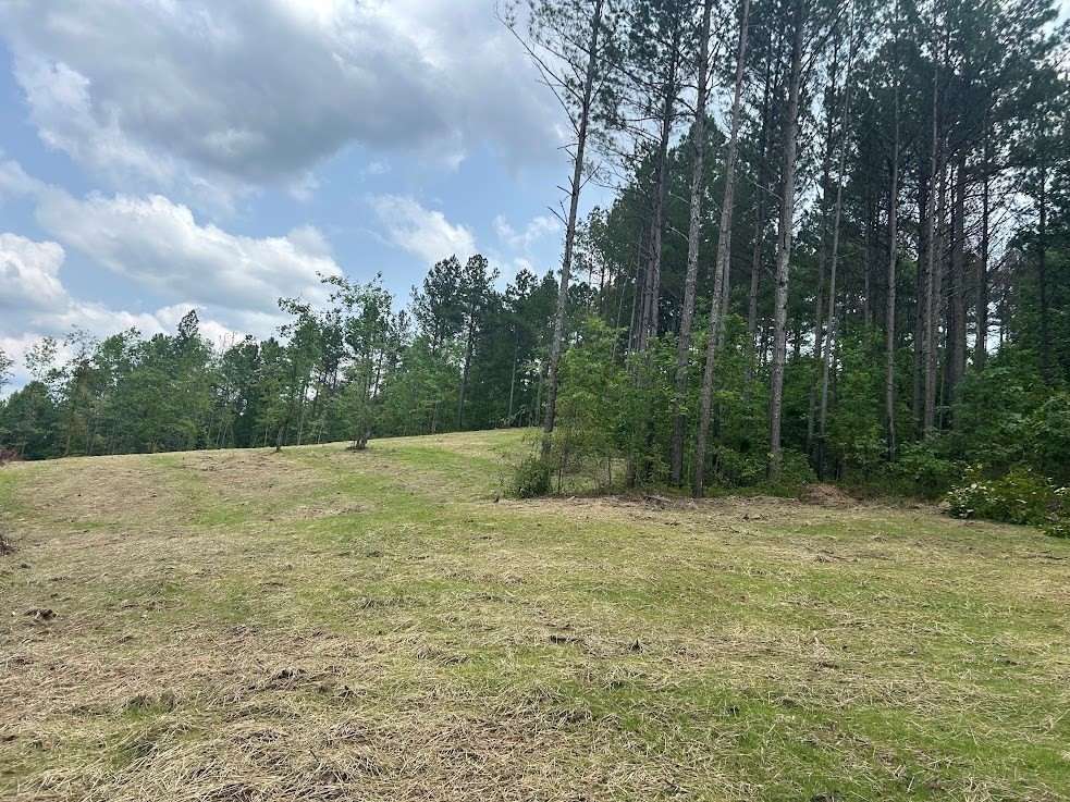 Picture 23