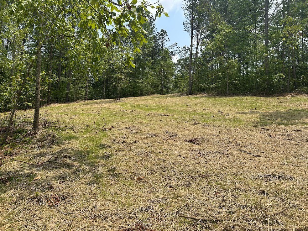 Picture 21