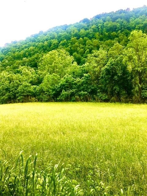 Tazewell, TN Riverfront Land