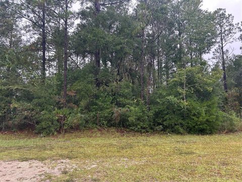 Land, BRONSON, FL