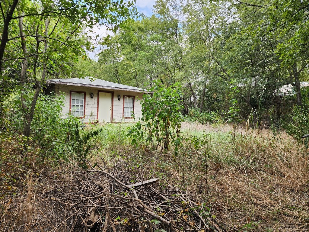 Picture 5