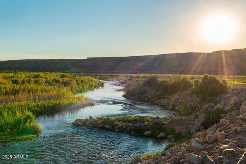 Pristine Desert Land by Virgin River