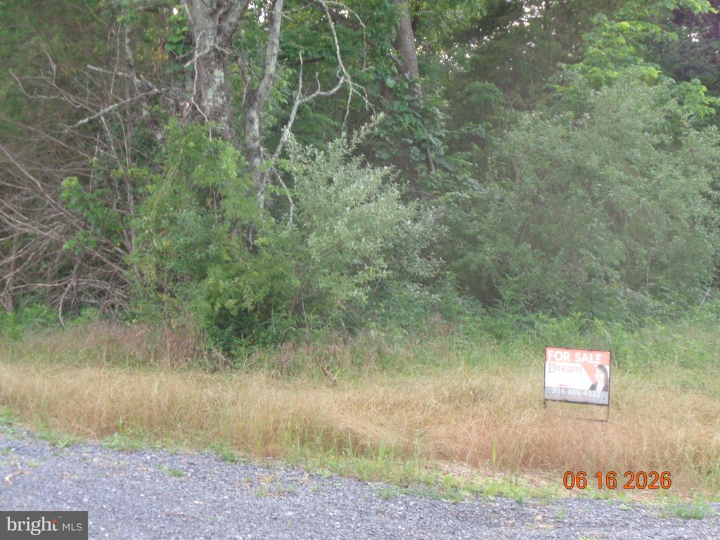 Picture 3