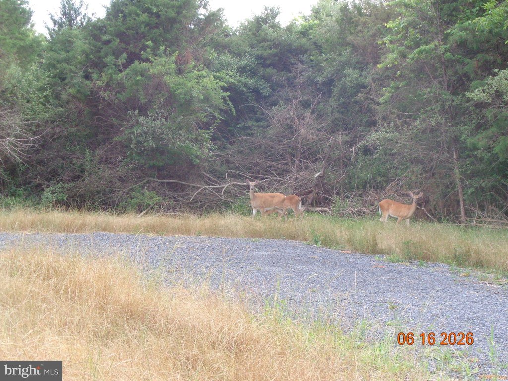 Picture 2