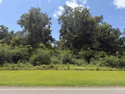 LAND - Walnut Hill, FL
