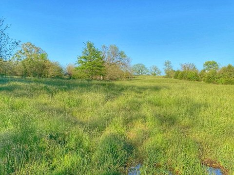 Land, Springfield, MO