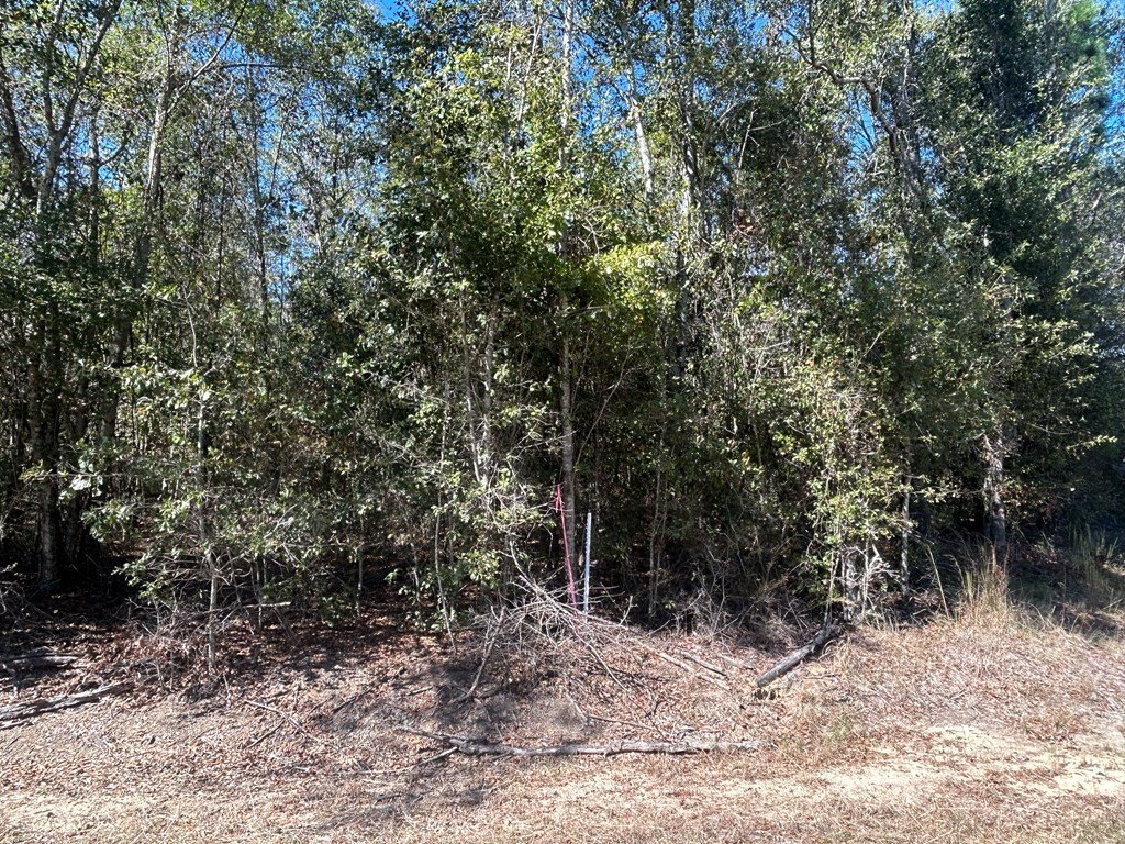 Picture 10