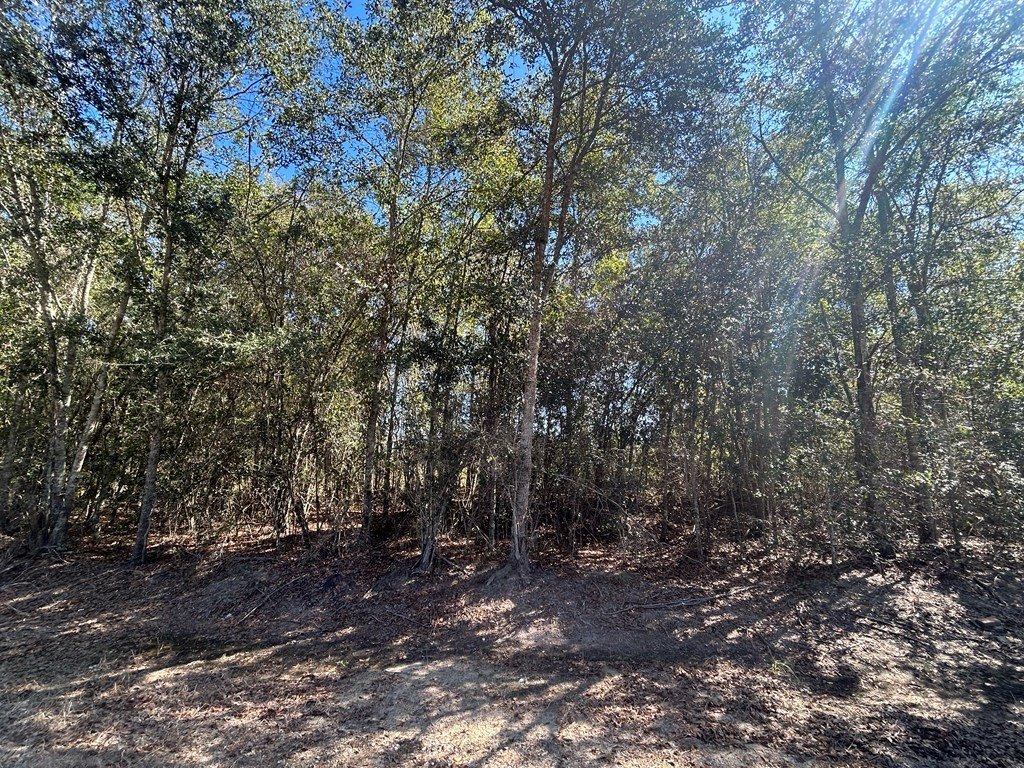 Picture 6