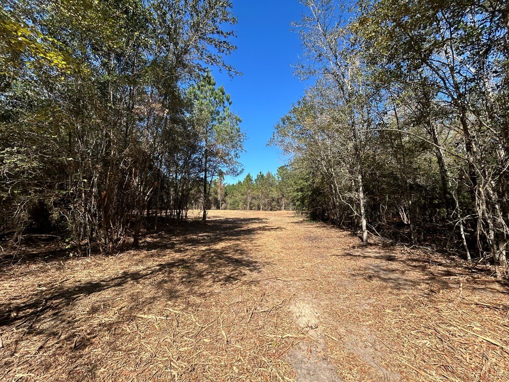 Picture 18
