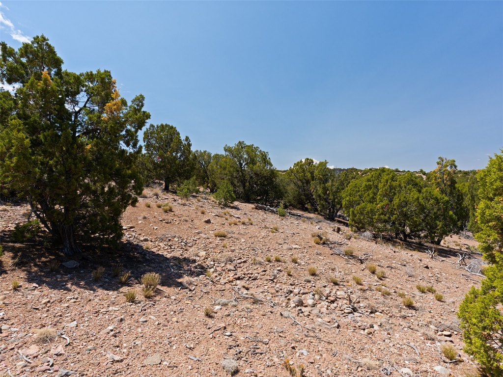 Picture 30