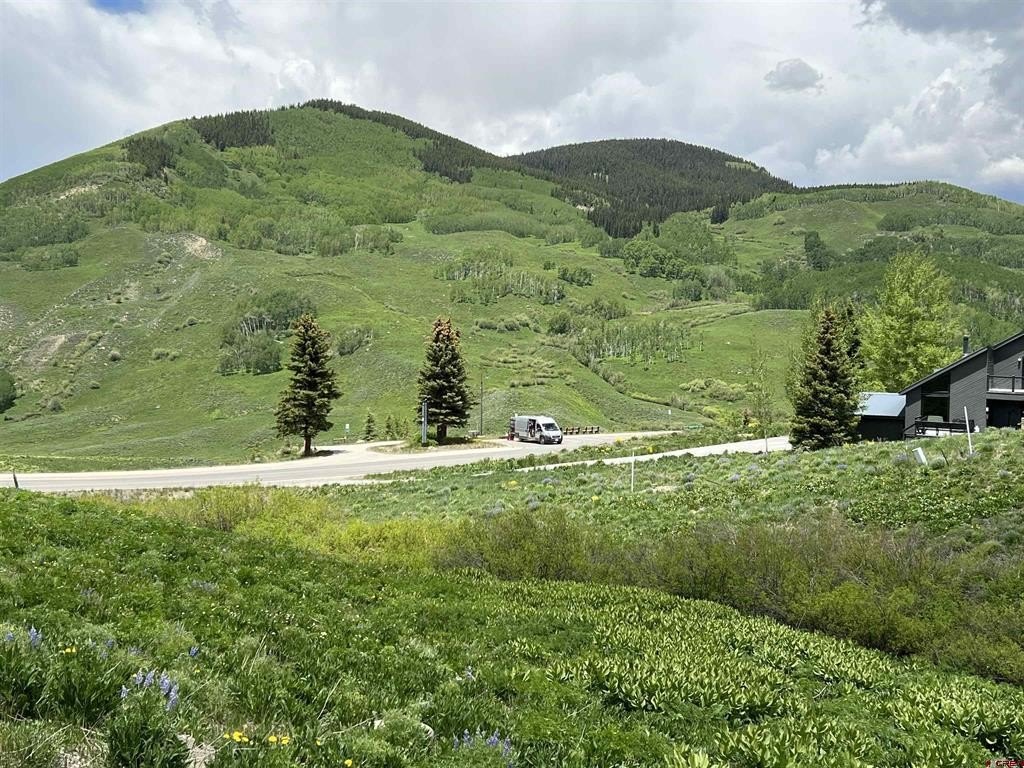 Picture 5