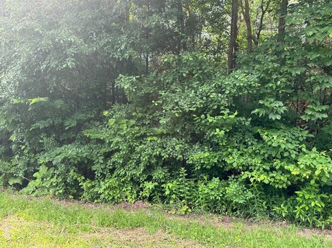 Residential Land Near Plattsburgh