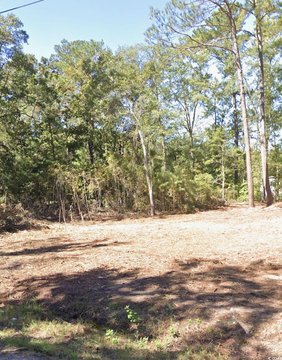 Cleared Lot in Johnsonville, SC