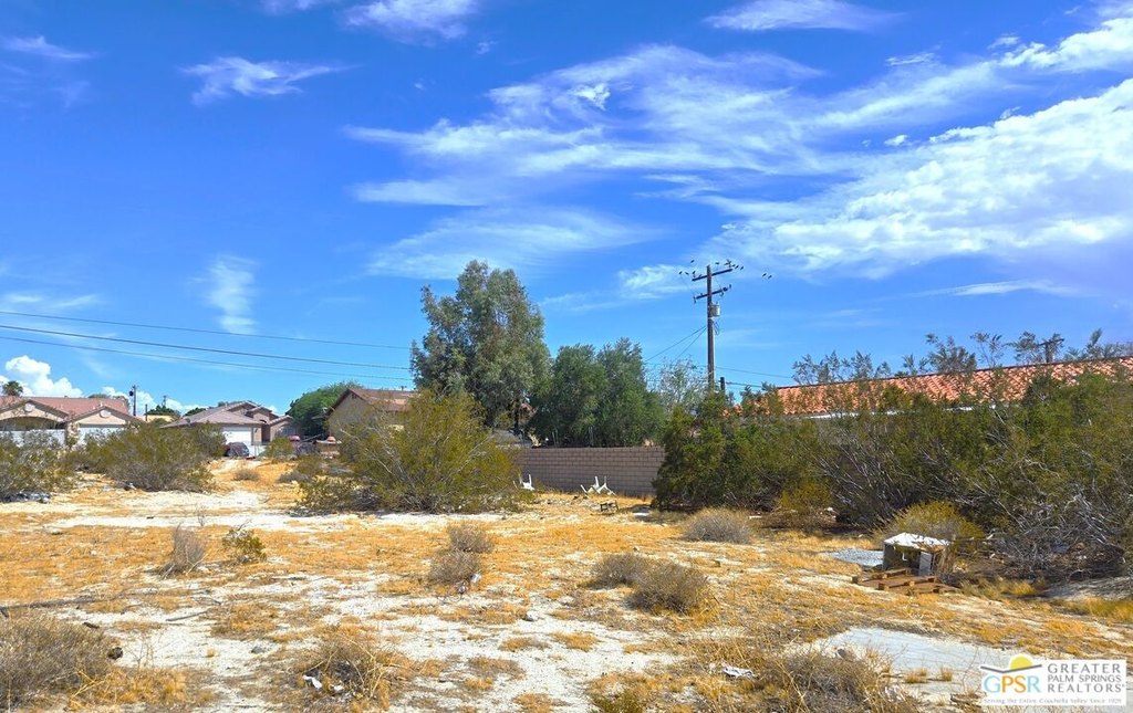 Picture 2