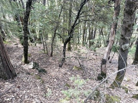 Land, Dunsmuir, CA