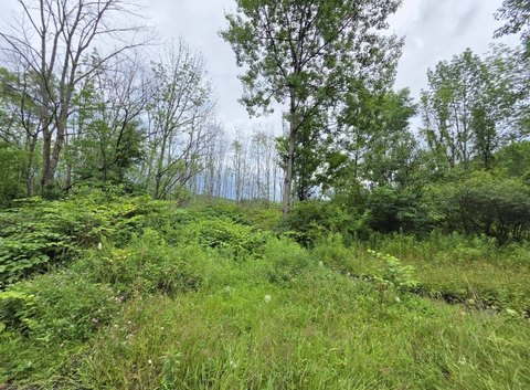 LAND - Butternuts, NY