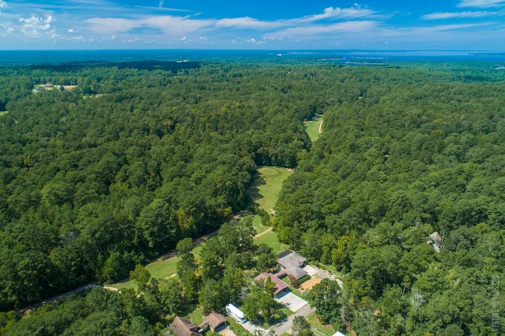Rayburn Resort Land For Sale