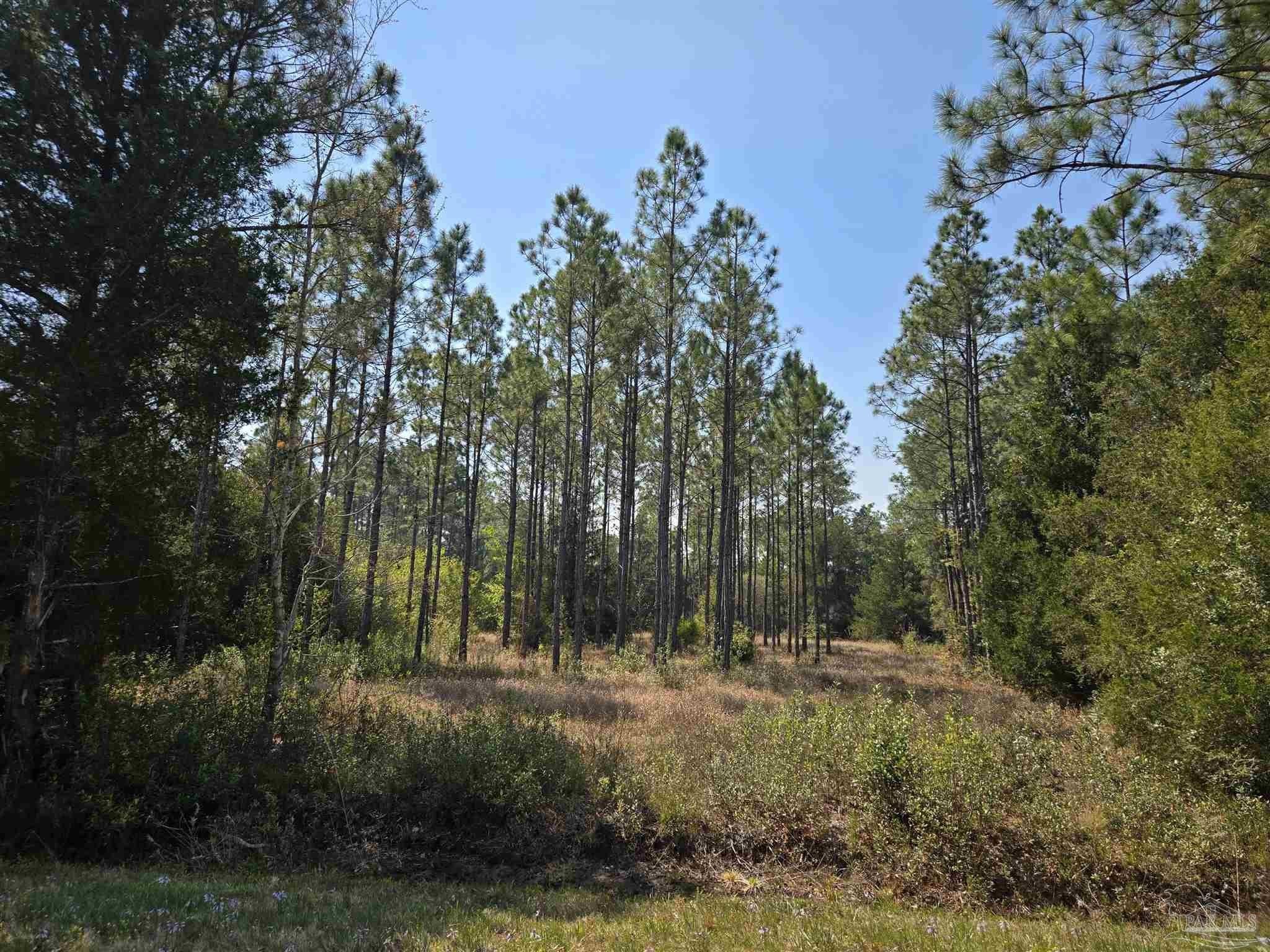 Picturesque Lot Near Blackwater Bay