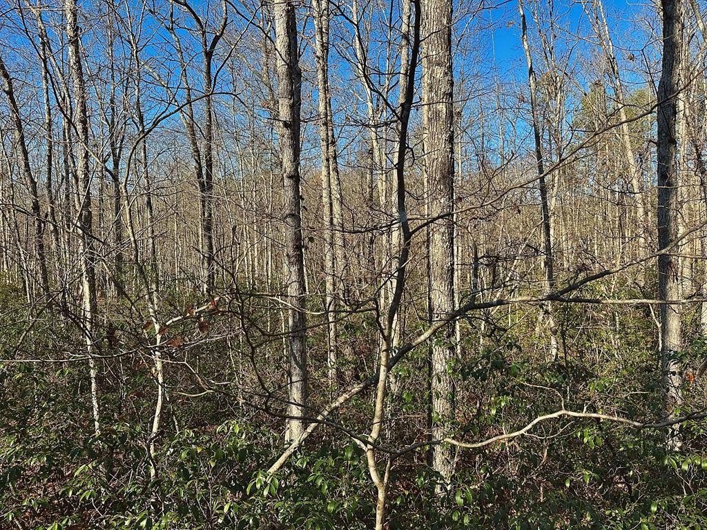 Wilder, TN Hunting/Recreational Land
