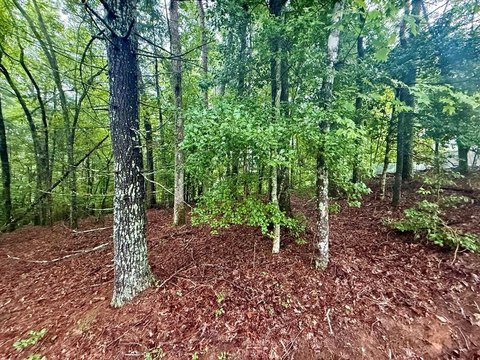Vacant Lot, Hayesville, NC