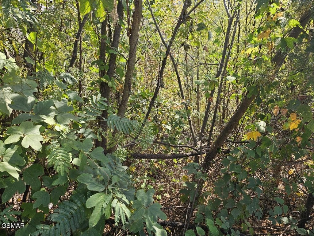 Picture 17