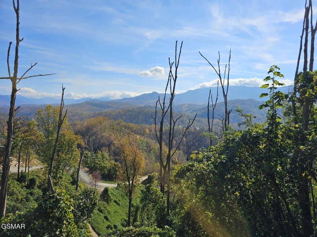 Picture 10
