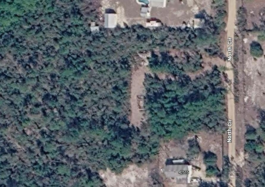 Picture 2